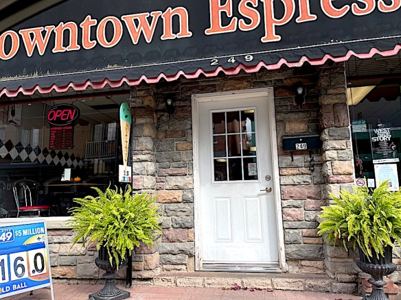 step up barrier into Downtown Espresso Cafe Amherstburg, Ontario 